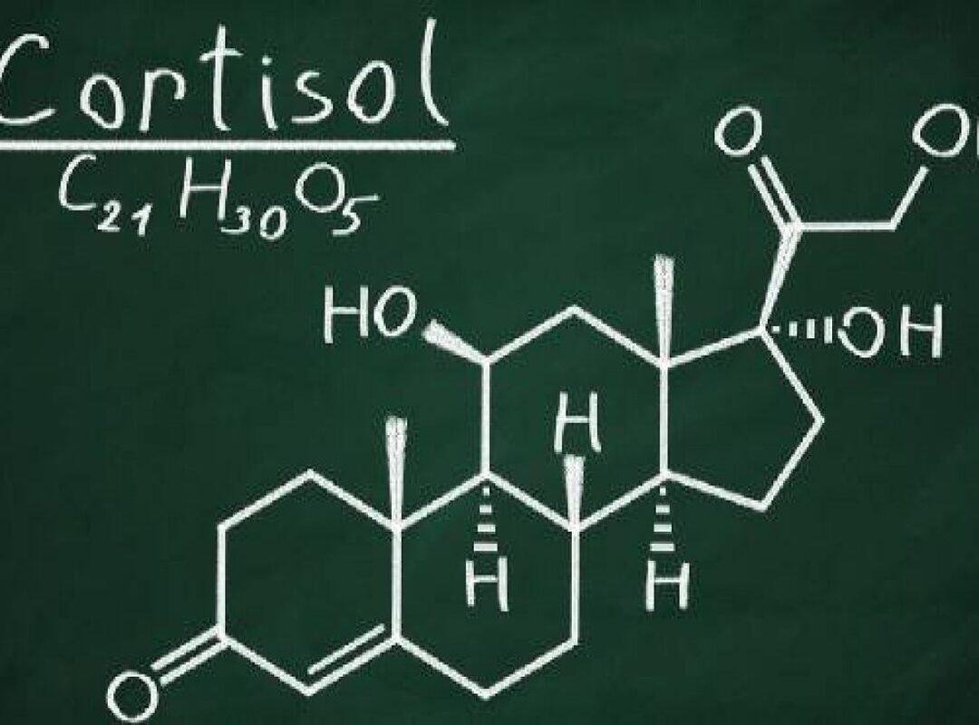 Cortisolo: sintomi alto, basso, alto fa ingrassare, test