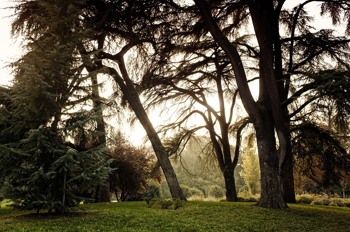 aggressioni parco milano