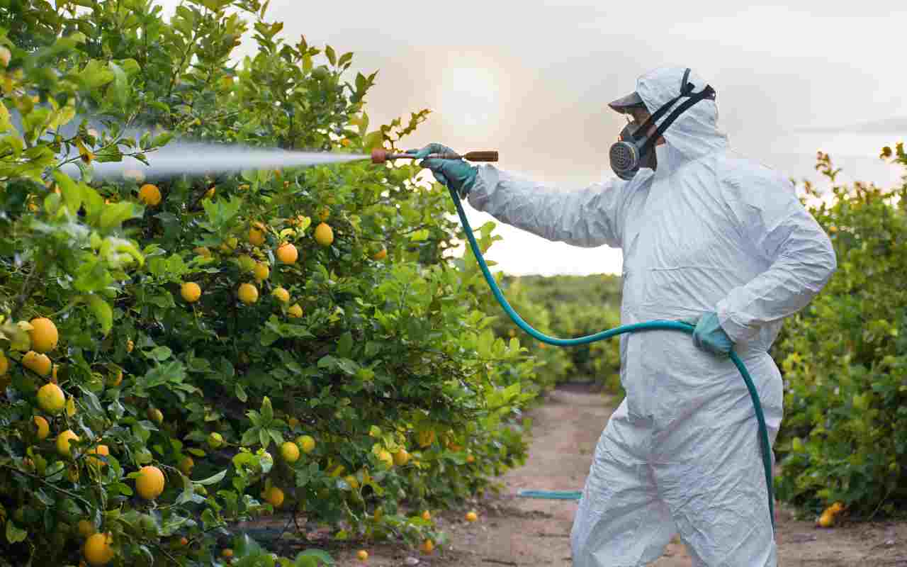 pesticidi illegali