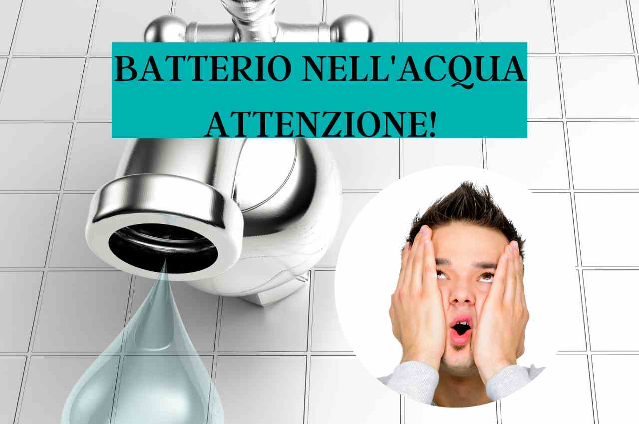 batterio acqua 