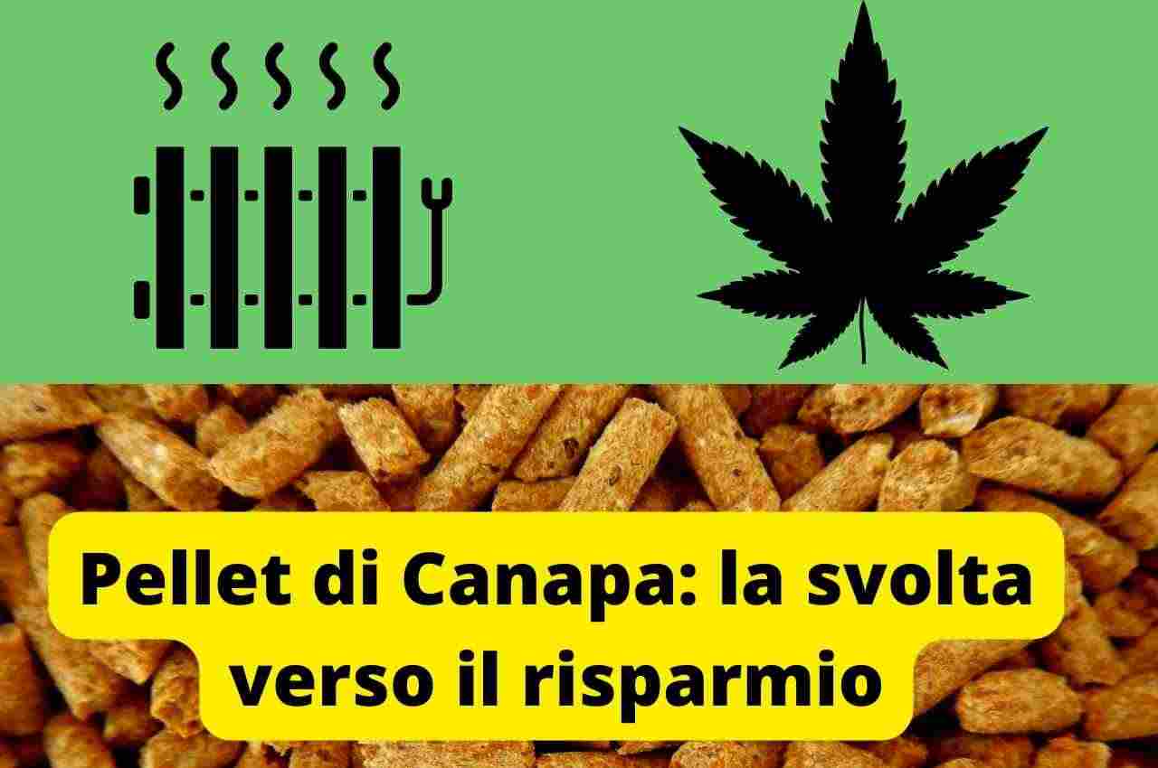 Pellet di Canapa