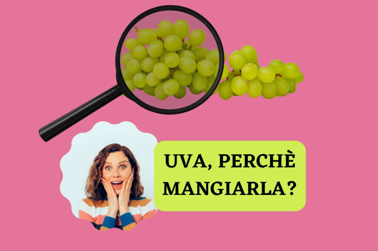 uva mangiarla 