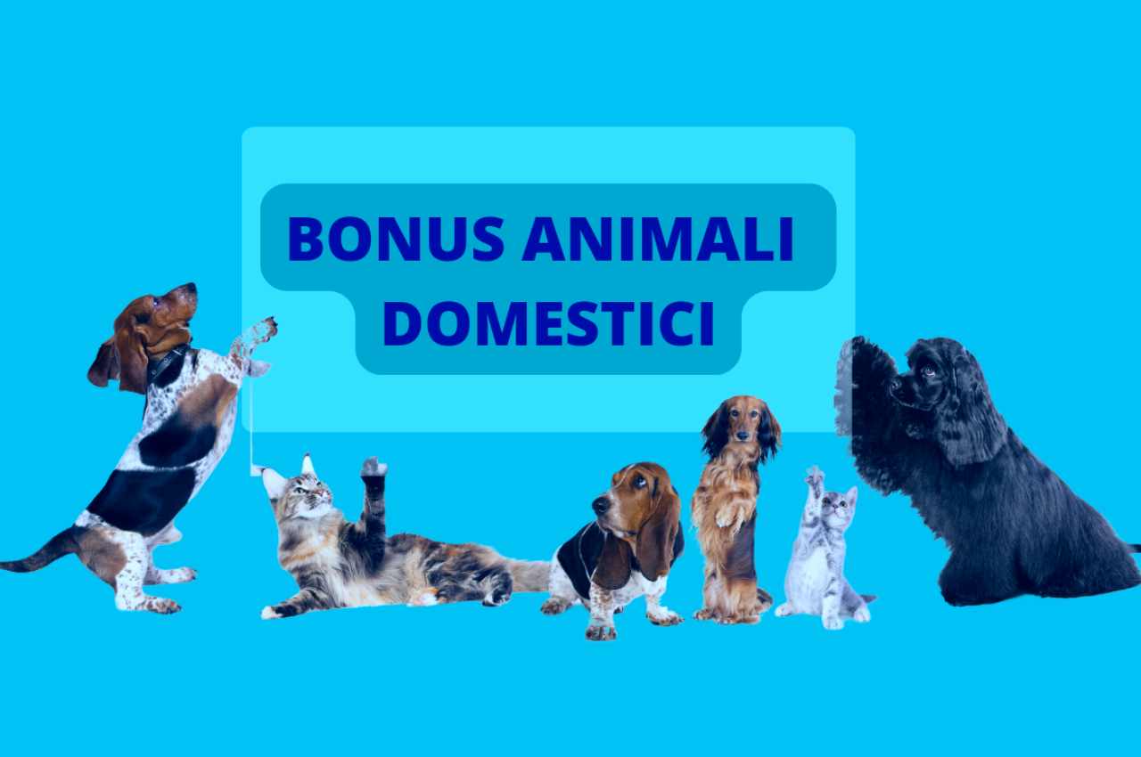 Bonus animali domestici