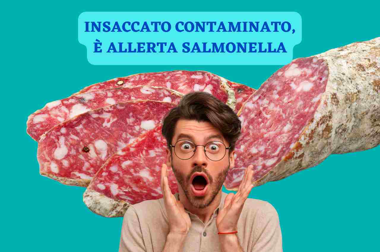 insaccato salmonella 