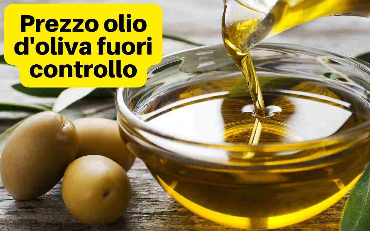 olio oliva