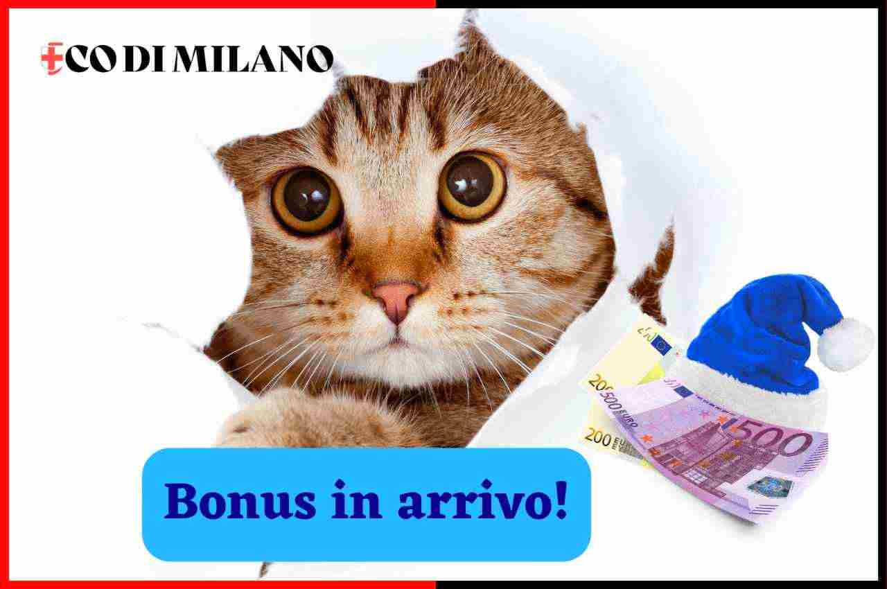 Bonus cani e gatti