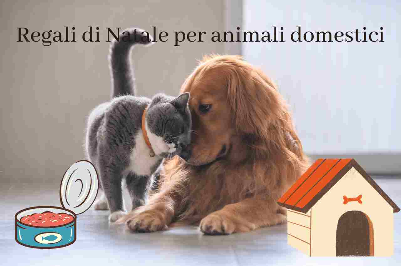 Regali di Natale per animali domestici