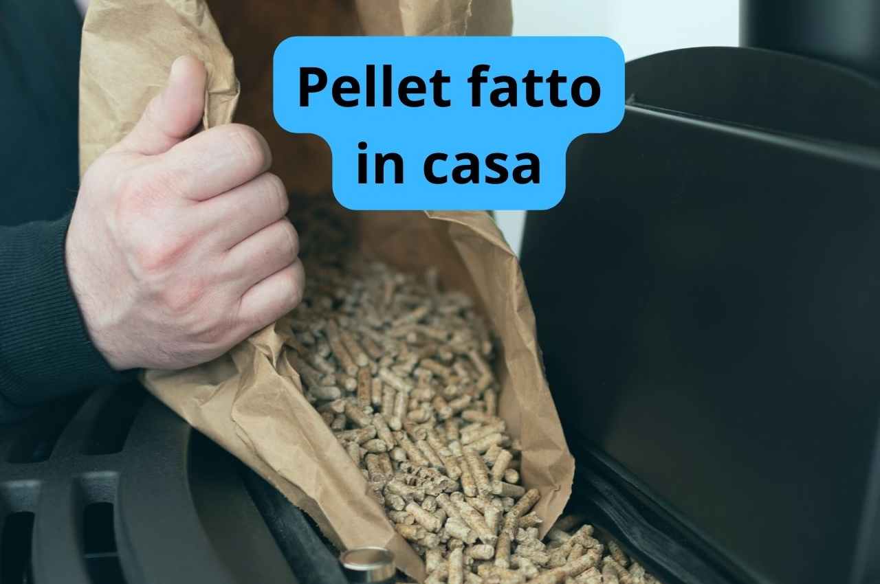 pellet