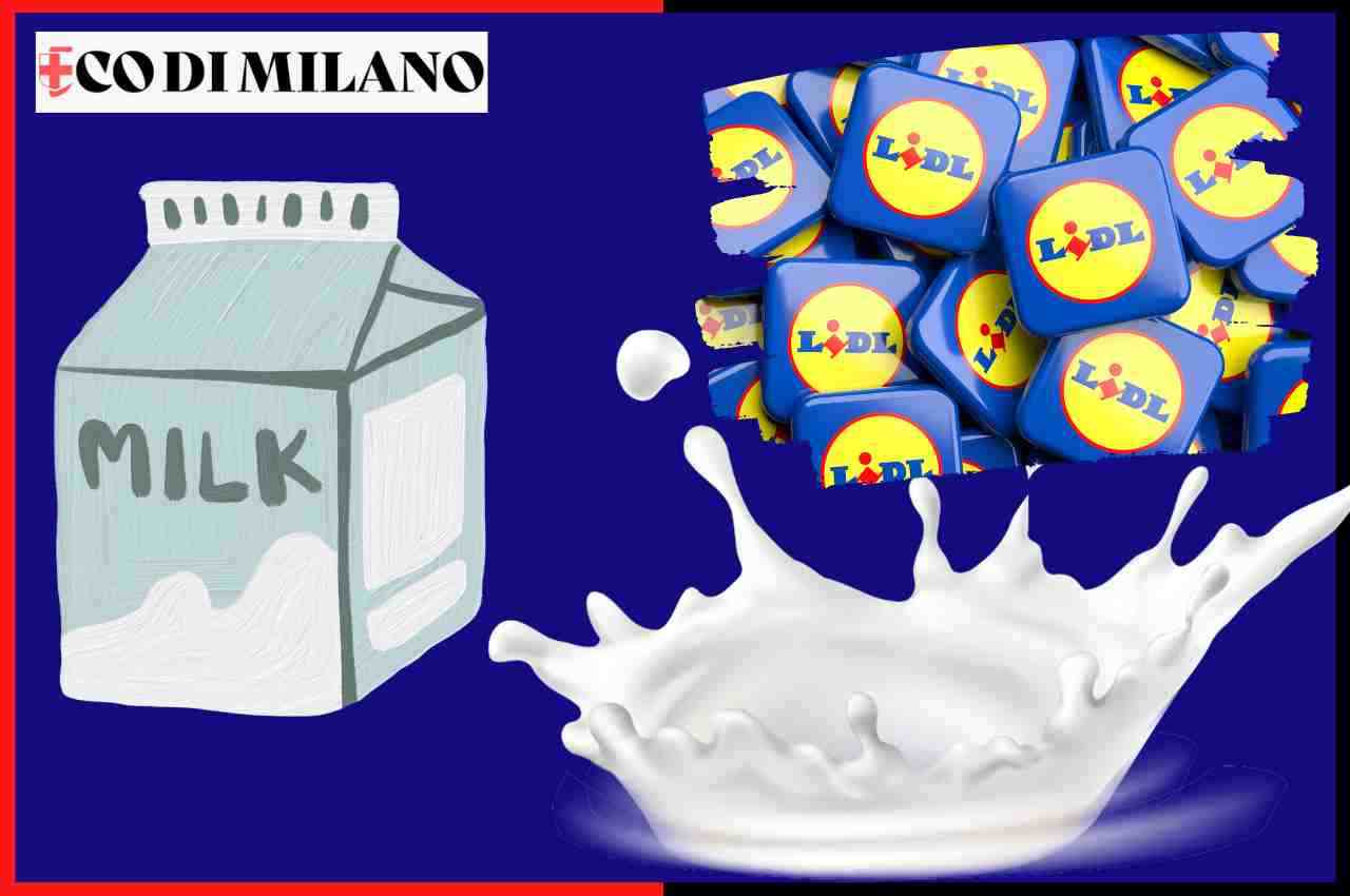 lidl latte origine