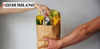 Reddito alimentare
