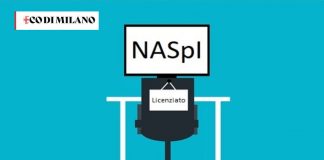 Naspi part-time