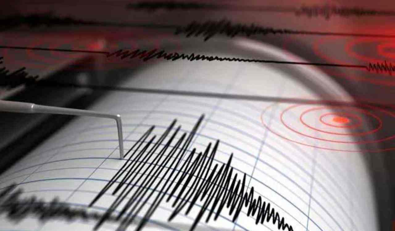 terremoto Turchia